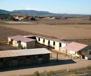photo Scea centre equestre la marteliere Orange 10470