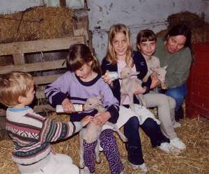 photo Ferme pdagogique de l'oiselet Sarrians 2484
