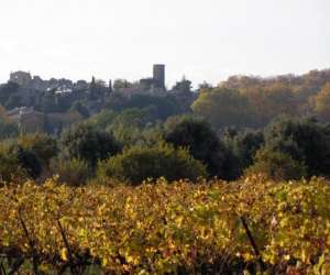 photo Office de tourisme de cucuron-vaugines Cucuron 2856