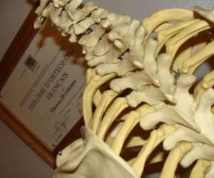 photo Clemence duchemin osteopathe do L Isle Sur La Sorgue 4141