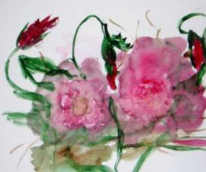 photo Brigitte-noelle artiste peintre Mandelieu La Napoule 8648