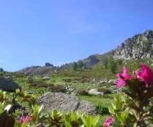 photo Gite rural loustal Roquebilliere 3298