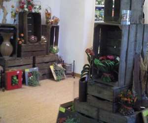 photo Jardinerie tretsoise Trets 3373