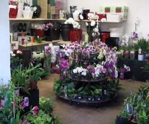 photo Jardinerie tretsoise Trets 3374