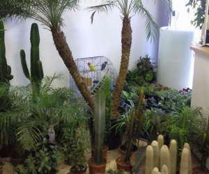 photo Jardinerie tretsoise Trets 3375