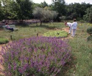 photo Aoubre l'aventure nature ' le parc animalier' Flassans Sur Issole 3594