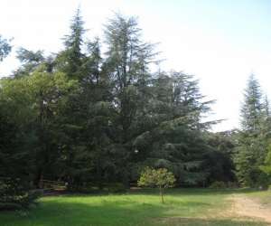 photo Aoubre l'aventure nature ' le parc animalier' Flassans Sur Issole 3595