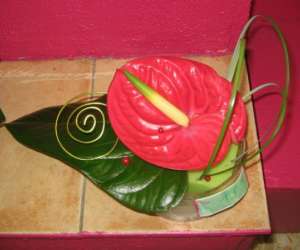 photo Fleuriste aux fleurs d'amel'ys Nice 3740