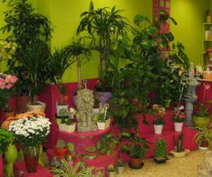photo Fleuriste aux fleurs d'amel'ys Nice 3742