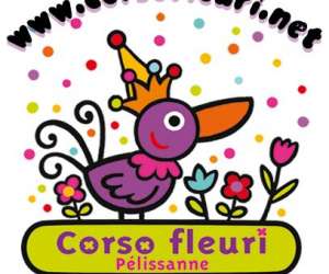 Corso Fleuri De Plissanne