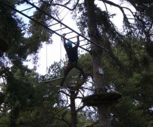 photo Acrobranche/parcours aventure Peira Cava 4240