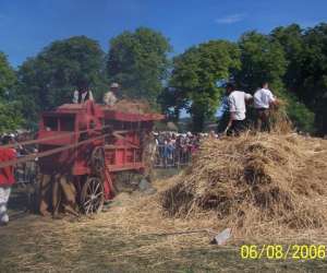 Comite Des Fetes