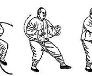 photo Taichi chuan et qi gong Aix En Provence 4352