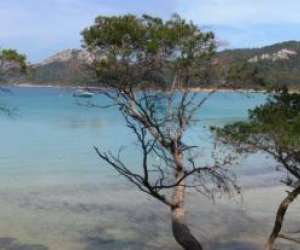 photo Location  voilier duo83 Hyeres 4468