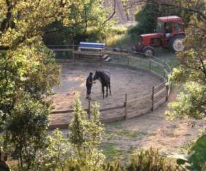 La Ferme De Manal