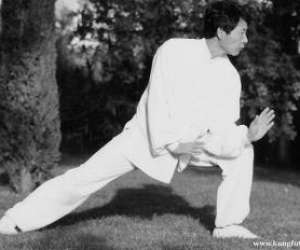 photo Ame tai chi chuan /qi gong /kung fu La Roque D Antheron 5286