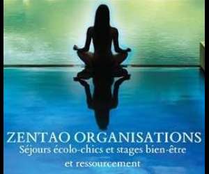 Zentao Organisations