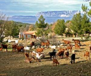 La Pastorale Du Regagnas