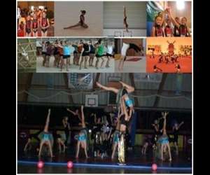 Club De Gymnastique Artistique Six-fournais