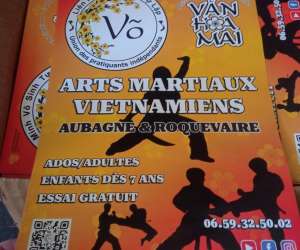 photo Arts martiaux vietnamiens - lin minh vo sinh tu lap - aubagne roquevaire  Aubagne 17065