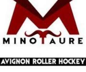 photo Association avignon roller skating Avignon 14613