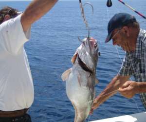 photo Fishmania peche au gros Cavalaire Sur Mer 5479