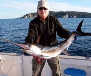 photo Fishmania peche au gros Cavalaire Sur Mer 5482