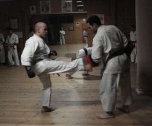 Karate Goju-ryu Sisteron