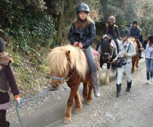 photo Les chevaux du bessillon - initiations et dcouverte du  poney Carces 6359