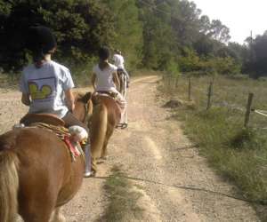 photo Les chevaux du bessillon - initiations et dcouverte du  poney Carces 5965