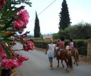 photo Les chevaux du bessillon - initiations et dcouverte du  poney Carces 5966
