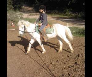 photo Les chevaux du bessillon - initiations et dcouverte du  poney Carces 5967