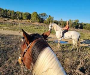 photo Les chevaux du bessillon - randonnes - pensions Carces 16559