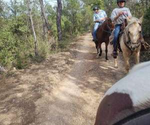 Les Chevaux Du Bessillon - Randonnées - Pensions Les Chevaux Du Bessillon - Randonnées - Pensions