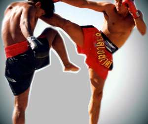 Thai Boxing Toulon