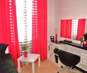 photo Rose brushing Toulon 6088