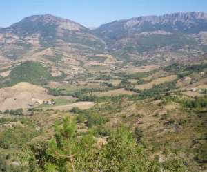 photo Gite alpes de haute provence toge Thoard 7082