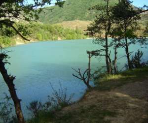 photo Gite alpes de haute provence toge Thoard 7083