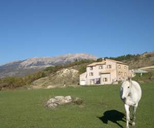 photo Gite alpes de haute provence toge Thoard 7085