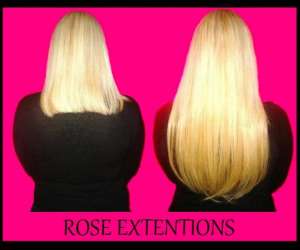 photo Rose extension Toulon 6341
