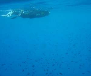 photo Rand'eau evasion Villefranche Sur Mer 6365