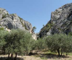 photo Tourisme en provence : sud luberon, durance et alpilles Merindol 8071