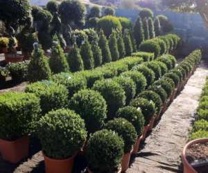 photo Garden saint jean Cagnes Sur Mer 6501