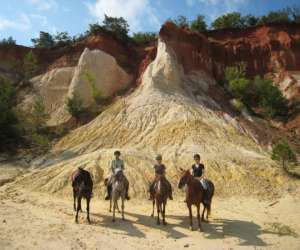 photo Cheval enjeu Vaugines 6592