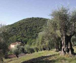photo Domaine oleicole de la royrie Grasse 8976