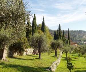 photo Domaine oleicole de la royrie Grasse 8978