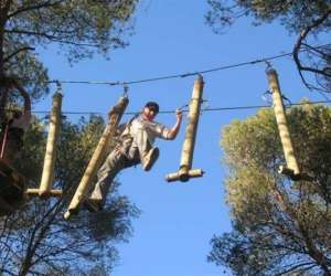 photo  le royaume des arbres Le Castellet 8200
