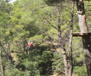 photo  le royaume des arbres Le Castellet 8201