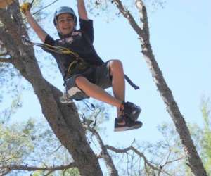 photo  le royaume des arbres Le Castellet 8207