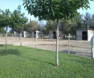photo Ecurie de propriataire equit art Chateauneuf Les Martigues 7281
